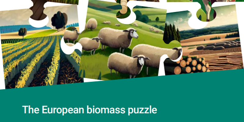 Un informe de la AEMA analiza los desafíos en el uso de la biomasa en la UE