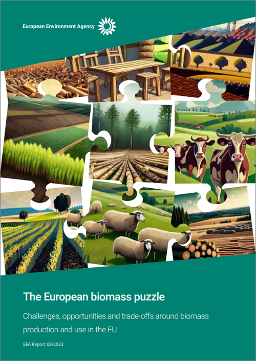 Un informe de la AEMA analiza los desafíos en el uso de la biomasa en la UE