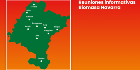 Navarra ofrece charlas a empresas para dar a conocer las ventajas de la biomasa para la descarbonización