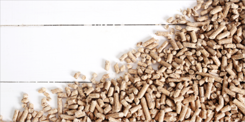 El proyecto Poctep Aldealix Aldeas Modelo busca crear comunidades energéticas basadas en la biomasa