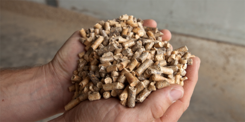 El consumo de biomasa forestal para usos térmicos aumentó en Cataluña un 9,5% en 2022