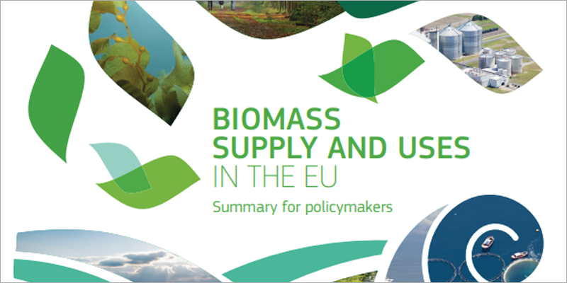 Un informe sobre el suministro y usos de la biomasa en la UE advierte de que es un recurso limitado