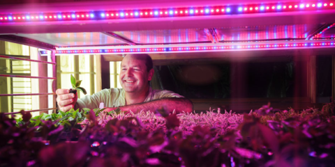 La tecnología Philips LED impulsa la eficiencia en la gestión del agua para cultivos