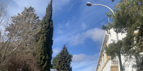 La incorporación de luminarias LED en Utiel supondrá un ahorro energético superior al 80%