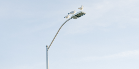 El Ayuntamiento de La Laguna instala nuevo alumbrado LED con un ahorro energético del 60%