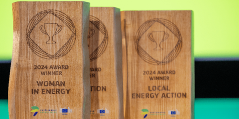 Los Premios EUSEW 2024 galardonan logros en energías renovables y eficiencia energética