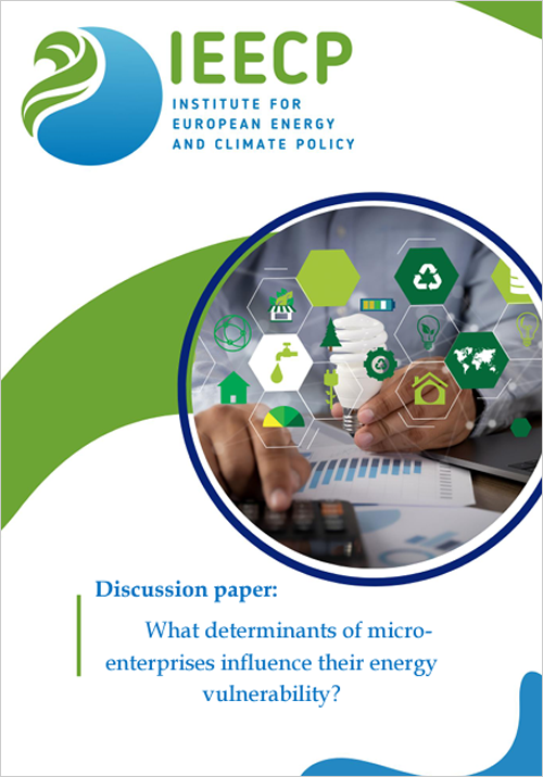 Encuesta sobre qué determinantes influyen en la vulnerabilidad energética de las microempresas