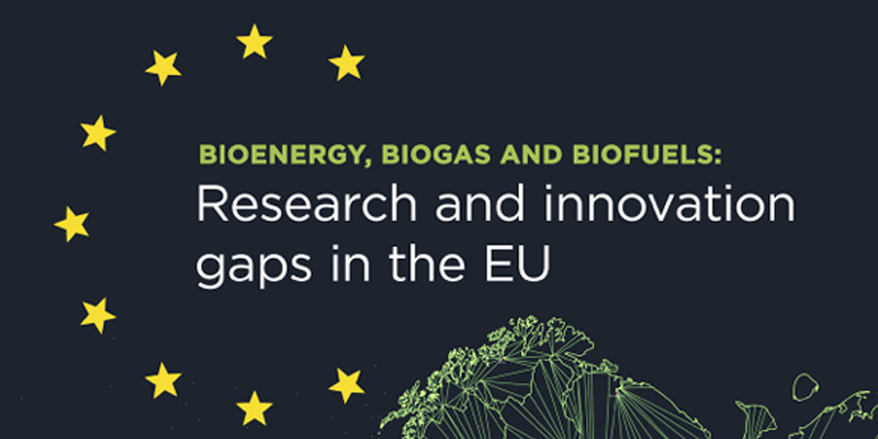 Informe sobre las principales brechas de I+i en los campos de la bioenergía, biogás y biocombustibles