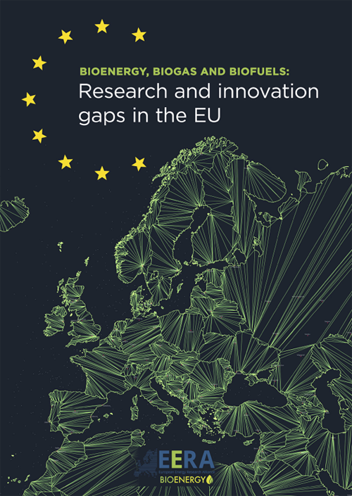 Informe sobre las principales brechas de I+i en los campos de la bioenergía, biogás y biocombustibles