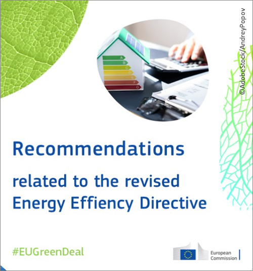 Recomendaciones sobre cómo trasladar la Directiva de eficiencia energética a la legislación nacional