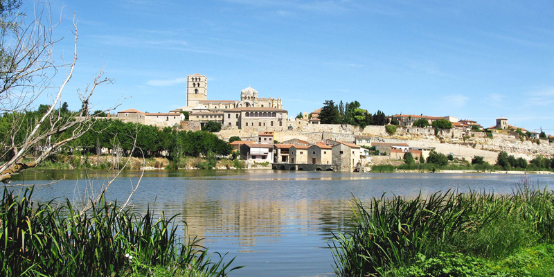 Obras de modernización del alumbrado público en 44 municipios de Zamora a cargo de Artecoin