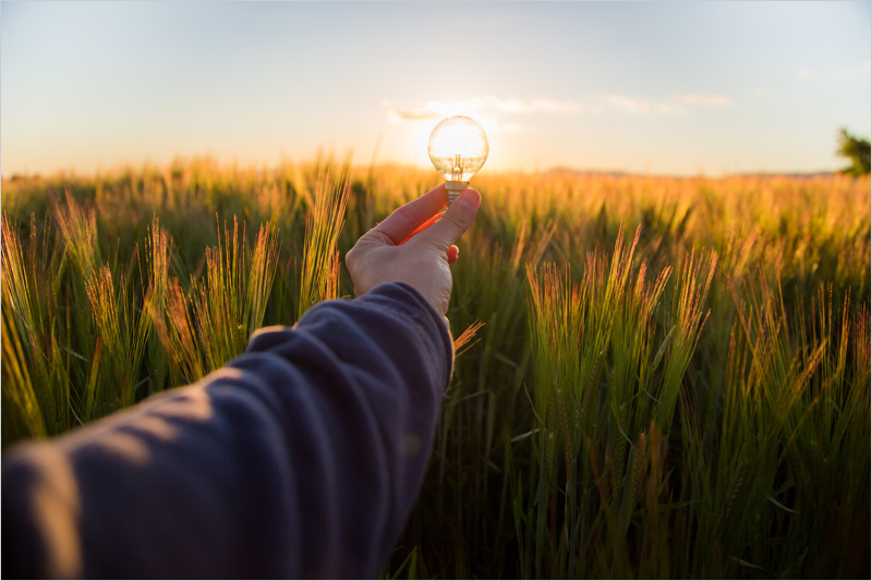 Primer aniversario de 'El Poder de la Luz' de LEDVANCE con iniciativas basadas en el ahorro y eficiencia energética