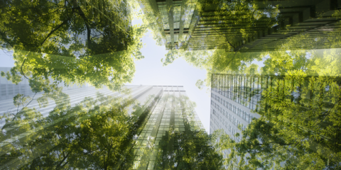 Schneider Electric participa en la Semana del Clima de Nueva York con iniciativas de descarbonización