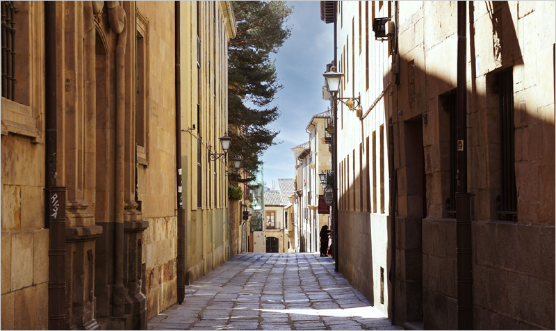 En marcha la redacción de la renovación del alumbrado público de Salamanca con la tecnología de Artecoin