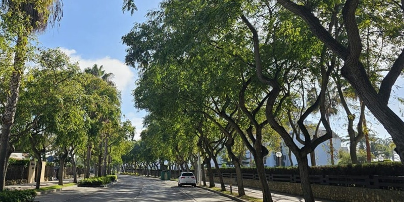 El Ayuntamiento de Rota mejorará la eficiencia energética del alumbrado de la avenida Reina Sofía de Costa Ballena