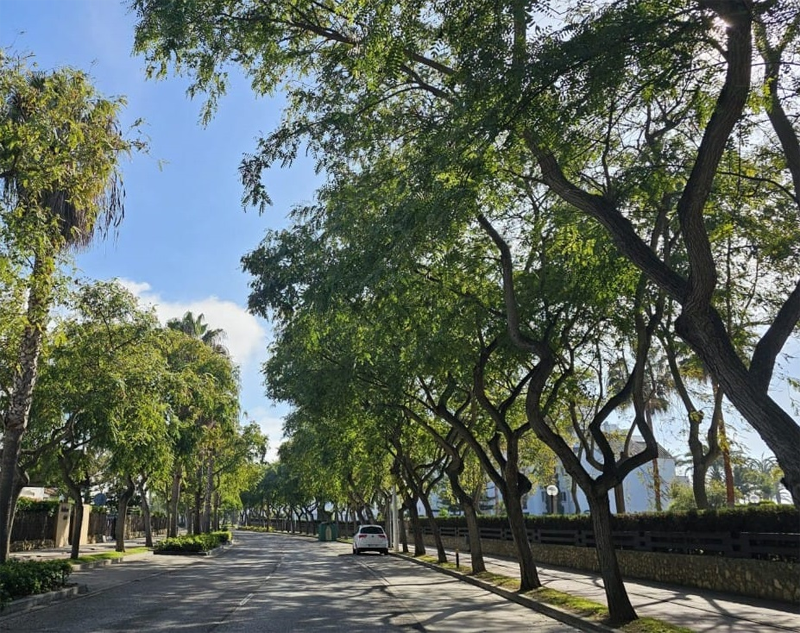 El Ayuntamiento de Rota mejorará la eficiencia energética del alumbrado de la avenida Reina Sofía de Costa Ballena