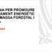 Balance de la Estrategia catalana para promover el aprovechamiento energético de la biomasa forestal y agrícola
