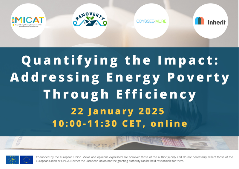 Webinar sobre cómo abordar la pobreza energética a través de la eficiencia energética