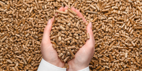 Un total de seis proyectos de biomasa para usos térmicos recibirán apoyo de Ivace+i Energía