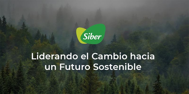 La nueva plataforma digital de Siber impulsará la eficiencia energética y sostenibilidad