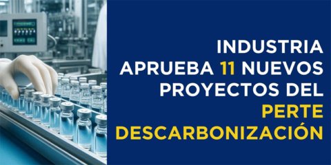 Aprobados 11 nuevos proyectos de la línea 1 del PERTE de Descarbonización Industrial