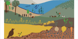 El JRC analiza en un informe el suministro, uso y acciones regenerativas de la biomasa en la UE