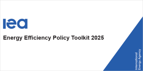 El kit de herramientas para políticas de eficiencia energética 2025 de la IEA incluye estudios de caso