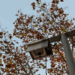 Adjudicada la sustitución de luminarias por tecnología LED en varias zonas de Tarragona