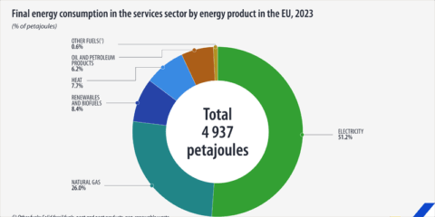 Disminuye el consumo de energía en el sector servicios de la UE en 2023, según Eurostat
