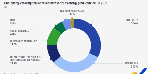 El consumo final de energía en el sector industrial de la UE disminuye en 2023, según Eurostat