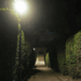 El Parque de la Ciudad de Tarragona renueva su iluminación con tecnología LED