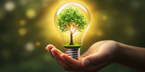 Línea de ayudas para fomentar el desarrollo de proyectos de descarbonización en Vitoria-Gasteiz