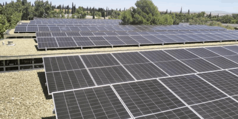Zaragoza aprueba una licitación para el suministro eléctrico y cesión de cubiertas para fotovoltaica