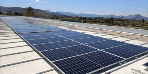 El Ayuntamiento de Dénia pone en marcha el Plan de Acción para el Clima y la Energía Sostenible