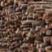 El consumo de biomasa forestal para usos térmicos crece en Cataluña un 12% en 2024