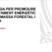 Balance 2024 de la Estrategia catalana para promover el aprovechamiento energético de la biomasa forestal y agrícola