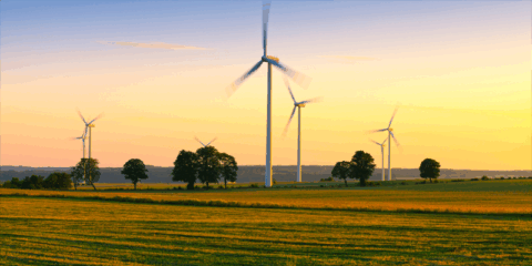 El IDAE y el CIS elaborarán un barómetro sobre la transición energética en España