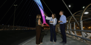 La nueva iluminación ornamental del Puente del Tercer Milenio de Zaragoza permite un ahorro superior al 90%