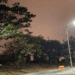 La luminaria configurable Steetlight Flex de LEDVANCE ofrece un amplio rango de potencias