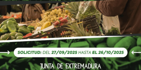 Ayudas para la modernización y mejora energética en mercados de abastos extremeños