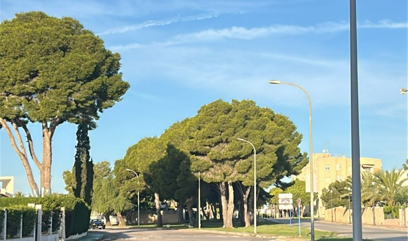 La renovación del alumbrado público en Orihuela Costa está abierta a licitación