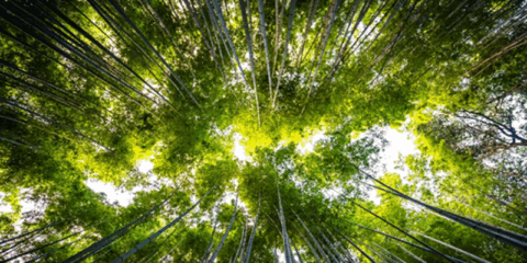 Siber refuerza su posición en ventilación mecánica inteligente con sistemas energéticamente eficientes