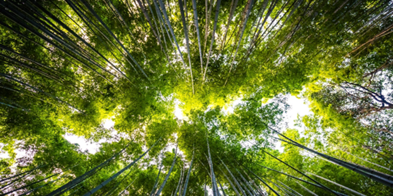 Siber refuerza su posición en ventilación mecánica inteligente con sistemas que maximizan la eficiencia energética