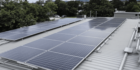 Red Eléctrica muestra información sobre autoconsumo fotovoltaico en todas sus plataformas
