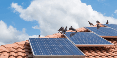 Nueva convocatoria de ayudas para fomentar instalaciones de autoconsumo en las Islas Baleares