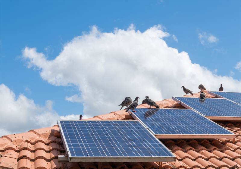 Nueva convocatoria de ayudas para fomentar instalaciones de autoconsumo en las Islas Baleares