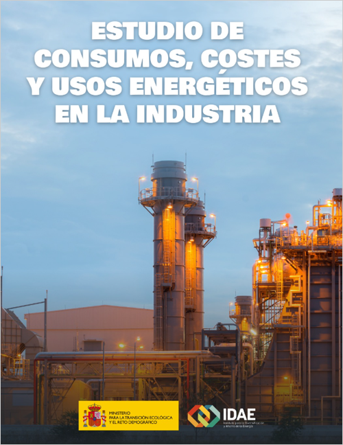 Un estudio incluye una serie de documentos sobre consumos, costes y usos energéticos en la industria