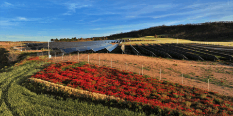El proyecto Solarsens desarrollará un sistema para catalogar los módulos fotovoltaicos