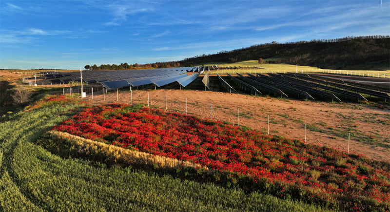El proyecto Solarsens desarrollará un sistema para catalogar los módulos fotovoltaicos