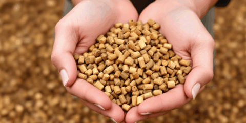 El municipio de Alar del Rey contará con un Centro Logístico Comarcal de biomasa forestal